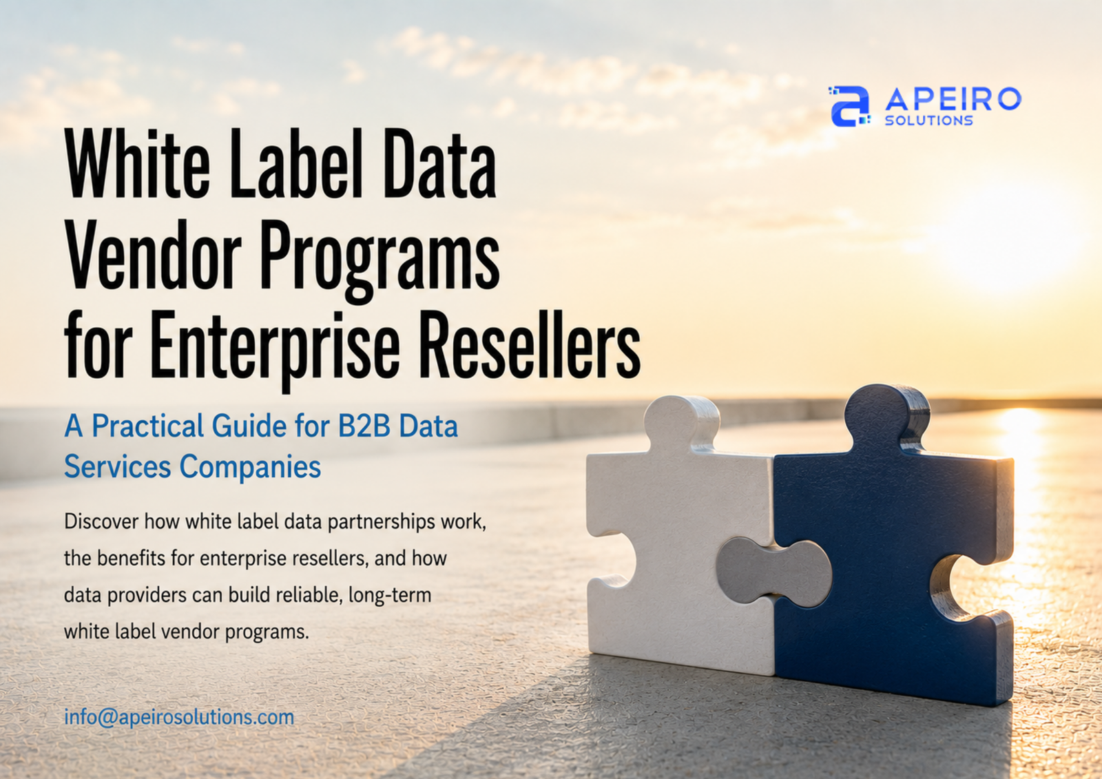 White Label Data Vendor Programs for Enterprise Resellers