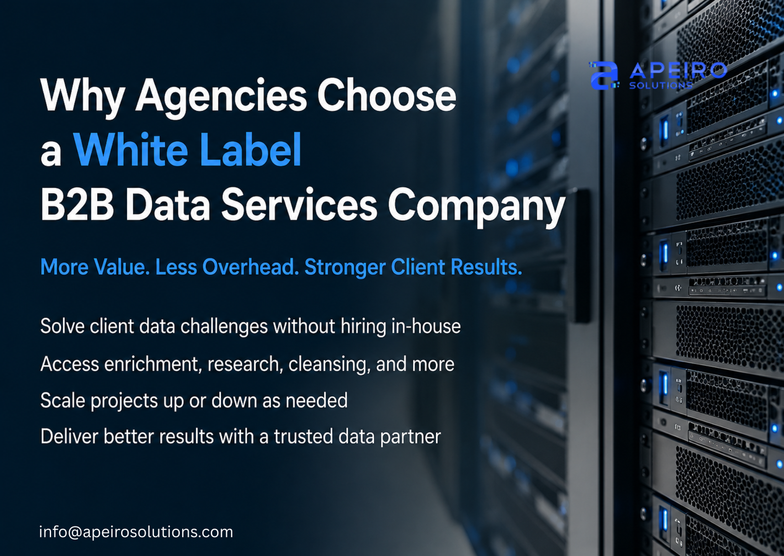 Why Agencies Choose a White Label B2B Data Services Company